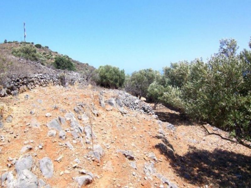 Pines MIT BESICHTIGUNGSVIDEO: Bauland am Meer mit Panoramablick auf die Bucht von Elounda Grundstück kaufen